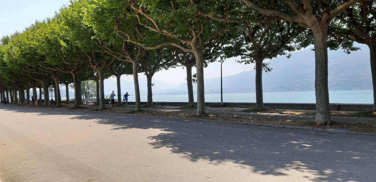 T2 De 55M Avec Jardin Et Parking Privatifs Apartment